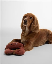 Barbour Dog Toy - Crab