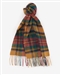 Barbour USC0137 New Check Scarf