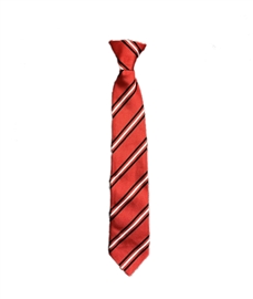 Ickworth Park Tie (AVAILABLE FROM SCHOOL ONLY)